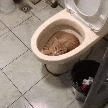 周四福利囧图云飞系列 妹子姿势好诱惑观众流口水