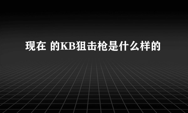 现在 的KB狙击枪是什么样的