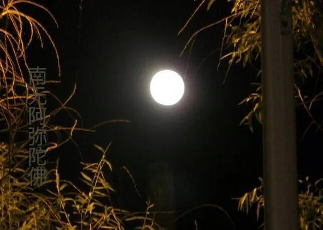 上联文原创，惊人惊语惊世界。下联？