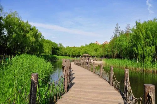 上海婚纱照哪里拍 婚纱照图片大全2016款