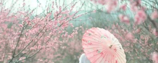 歌曲缘分五月原唱 完整歌词