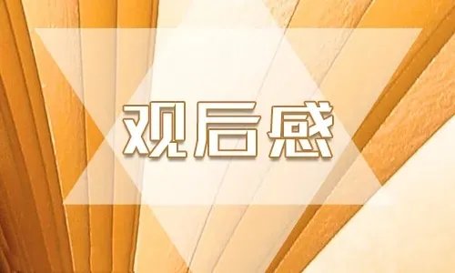 2021年央视315晚会观后感最新范文
