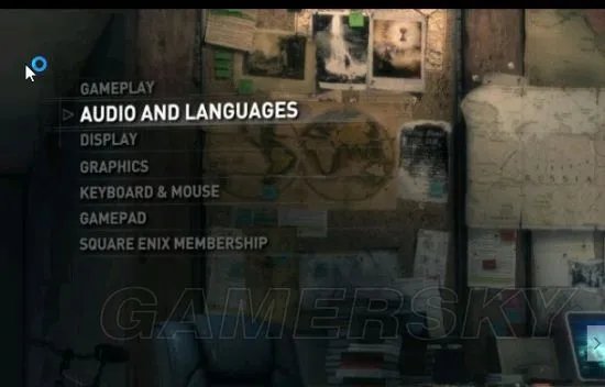 《古墓丽影崛起》画质设置心得与设置中文方法图文详解 高帧数设置画质一览