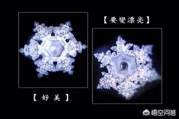 水知道答案是不是伪科学