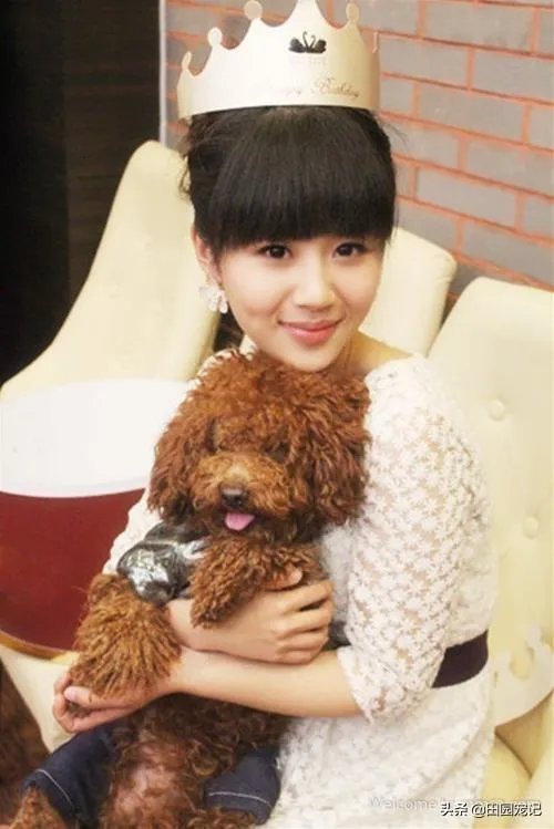你知道哪些明星，在家养有什么样的宠物呢？