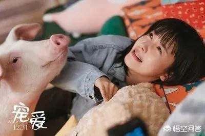 你知道哪些明星，在家养有什么样的宠物呢？