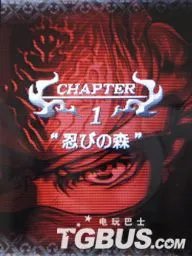 NDS《忍者龙剑传：龙剑》图文流程攻略