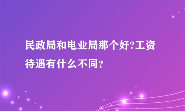 民政局和电业局那个好?工资待遇有什么不同？