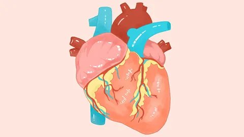 哪个器官最怕冷