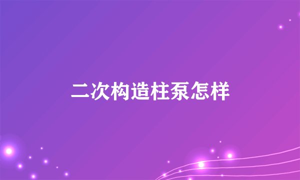 二次构造柱泵怎样