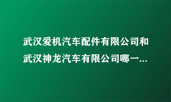 武汉爱机汽车配件有限公司和武汉神龙汽车有限公司哪一个待遇好?