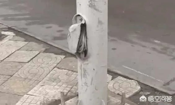 安徽一女司机6次倒车不成，将油门当刹车撞上大树，你怎么看这位女司机？