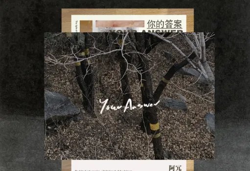 黎明的那道光，会越过黑暗，是谁的唱的歌名？抖音里听到的？