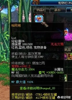 dnf特别宠物礼盒能开到什么dnf特别宠物？