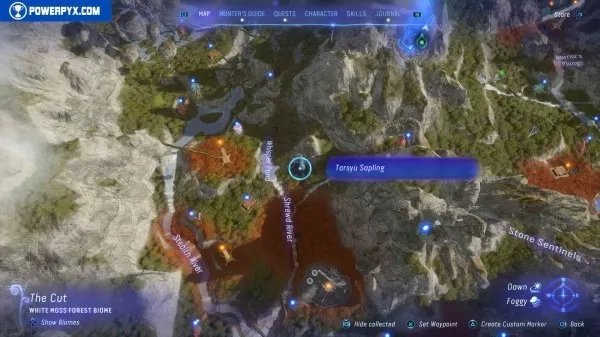 《阿凡达潘多拉边境》塔休幼苗位置汇总 塔休幼苗收集攻略