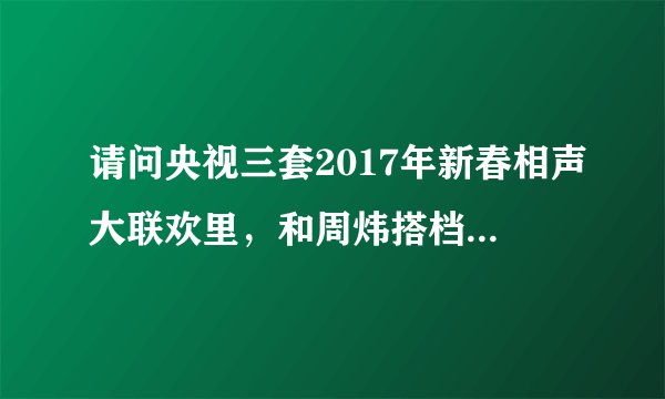 请问央视三套2017年新春相声大联欢里，和周炜搭档的那个女主持人是谁