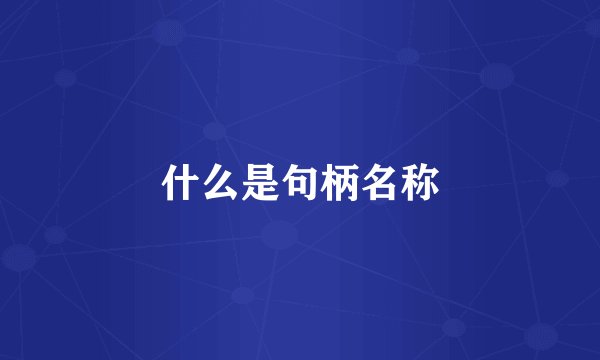 什么是句柄名称