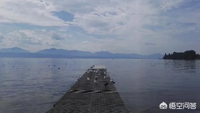 对新华社释放的楼市调控将继续收紧的重要信号，你怎么看？