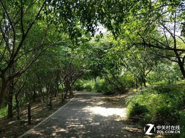 一加3/小米5/iPhone 6sP拍照盲测大比拼