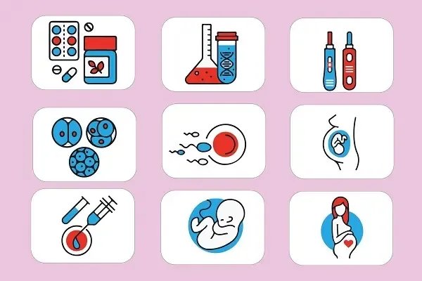 代生宝宝-宝宝树 (01761