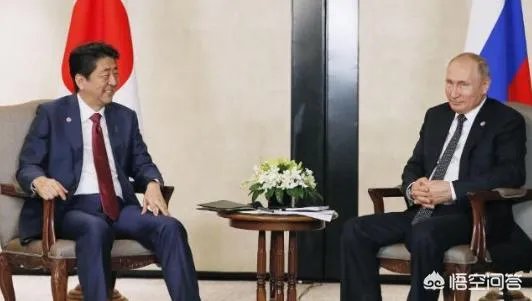 日本发表混乱外交蓝皮书