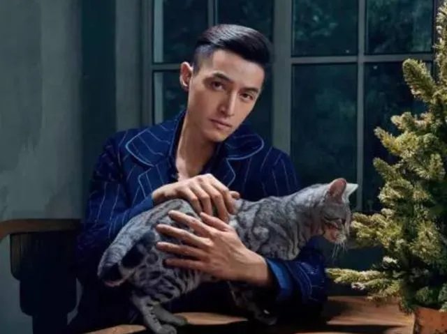 你知道哪些明星，在家养有什么样的宠物呢？