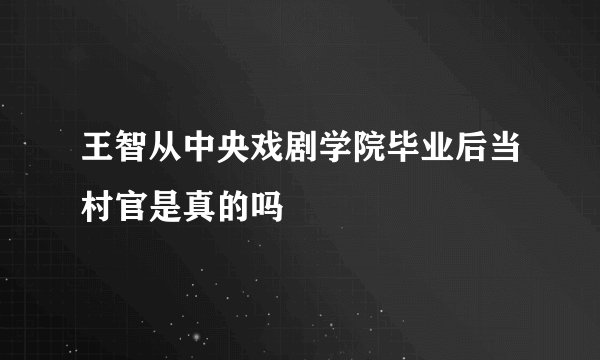 王智从中央戏剧学院毕业后当村官是真的吗
