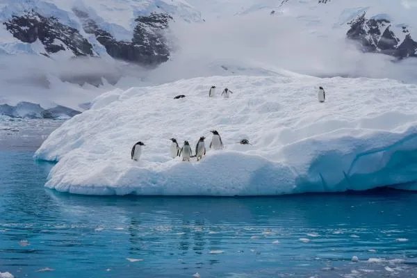 我们为什么要旅行？