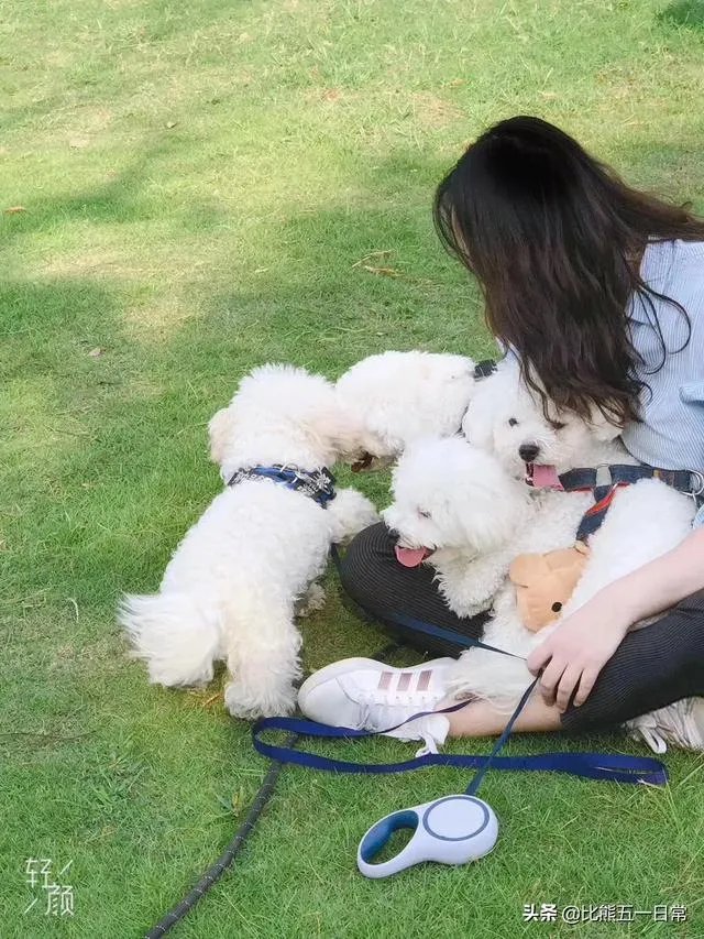 狗狗可以有多粘人？