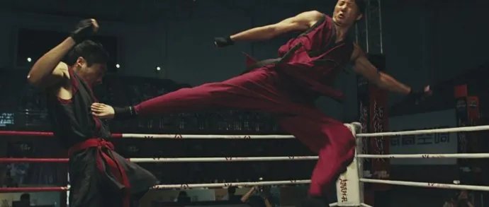 蔡李佛：极限拳速的介绍