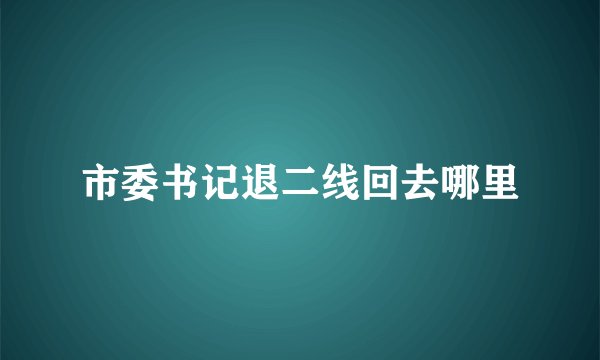 市委书记退二线回去哪里