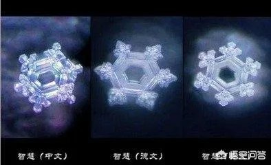 水知道答案是不是伪科学