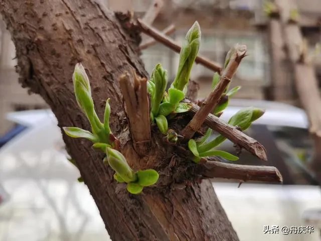 如何看待西班牙疫情突然失控？