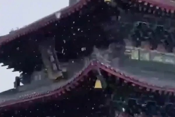 河南多景区飘起鹅毛大雪,今年天气为何如此反常?