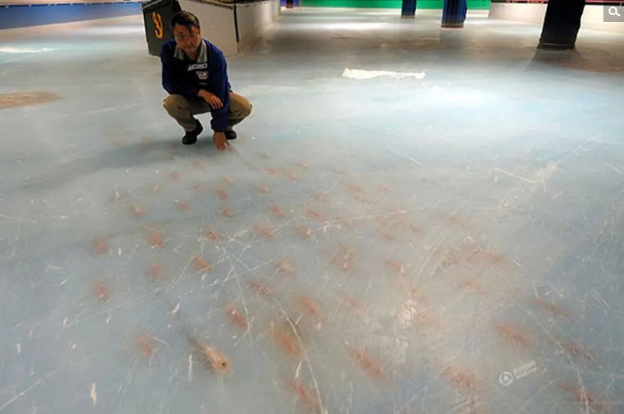 滑冰场铺5千条鱼 游客批评该创意很残忍