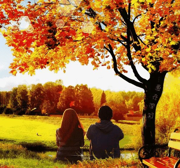 韦唯演唱的《爱的奉献》和陈红演唱的《感恩的心》哪首歌曲更具有感染力、更有正能量？为什么？