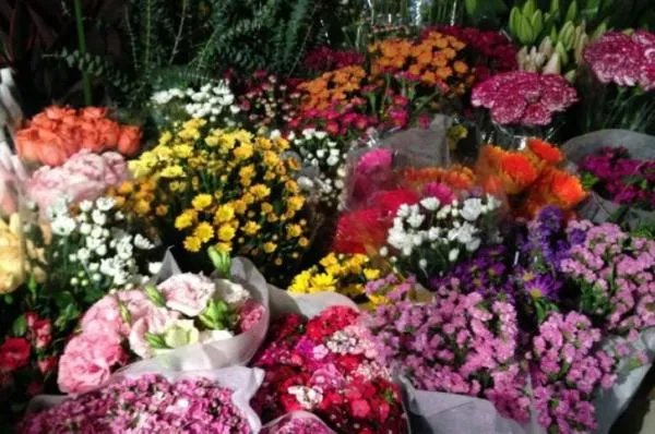 大学生创业项目名称有哪些？