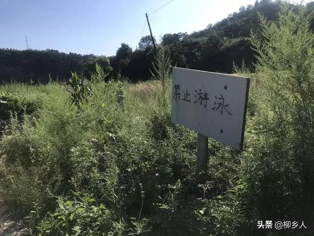 河北邢台市信都区姐弟三人同时溺亡,谁之过?