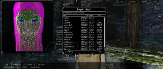 《上古卷轴5》Racemenu捏脸及制作独立美化随从教程