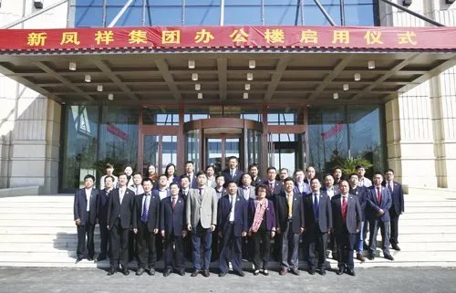 新凤祥控股有限公司的公司简介