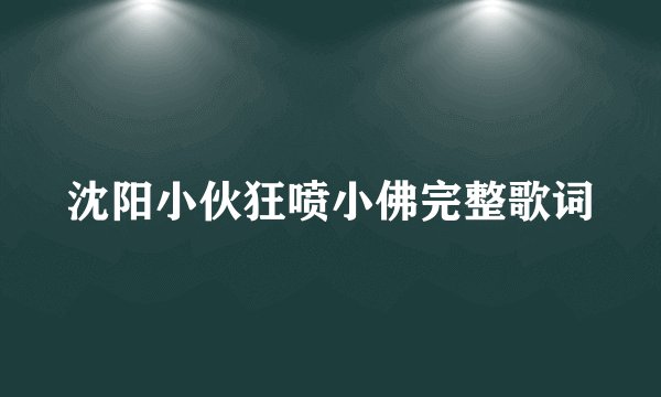 沈阳小伙狂喷小佛完整歌词