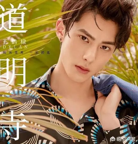 如何评价《新流星花园》里饰演道明寺的王鹤棣？