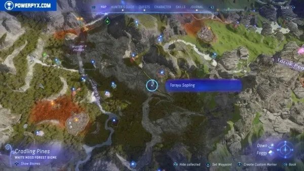 《阿凡达潘多拉边境》塔休幼苗位置汇总 塔休幼苗收集攻略