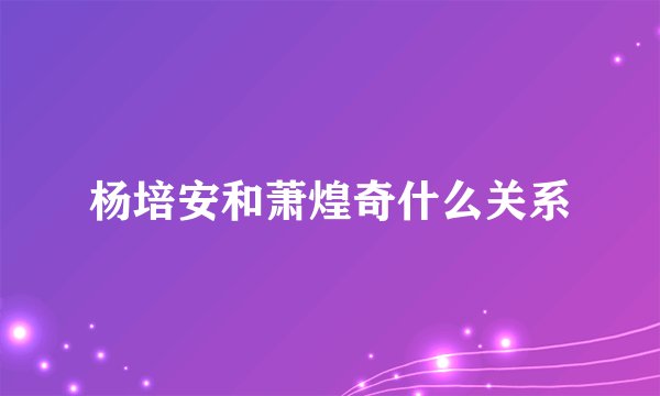 杨培安和萧煌奇什么关系