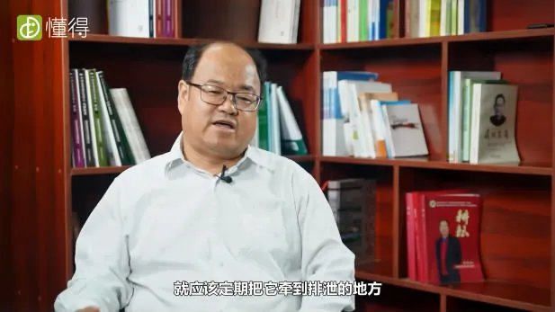 怎么训练狗狗大小便