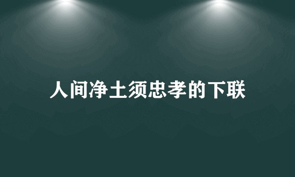 人间净土须忠孝的下联