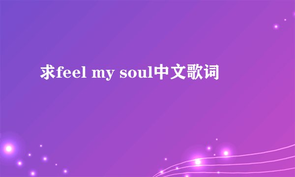 求feel my soul中文歌词