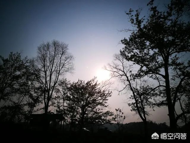 互联网广告是什么？能够达到精准人群投放吗？要多少资金？