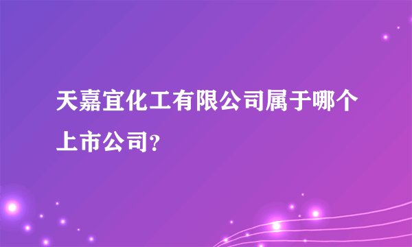 天嘉宜化工有限公司属于哪个上市公司？