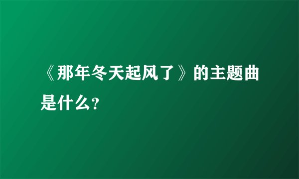《那年冬天起风了》的主题曲是什么？
